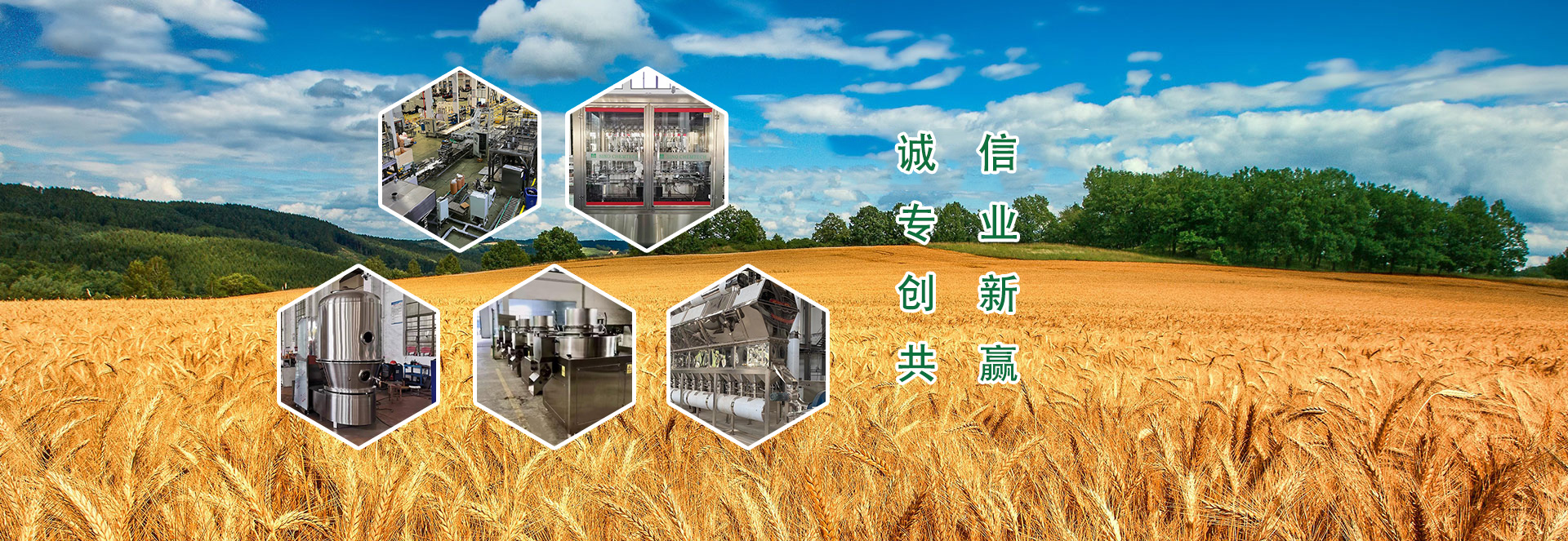 上海赛意农化工科技有限公司