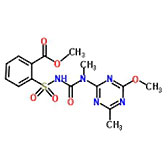 Tribenuron methyl