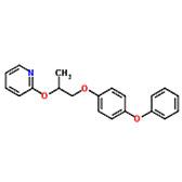 Piriproxifen TC